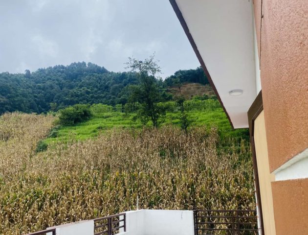 homestay surroundign